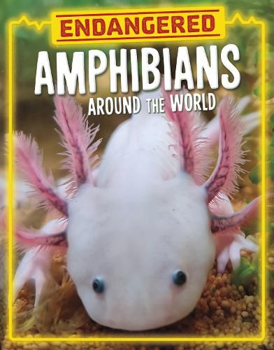 Cover image for Endangered Amphibians Around the World
