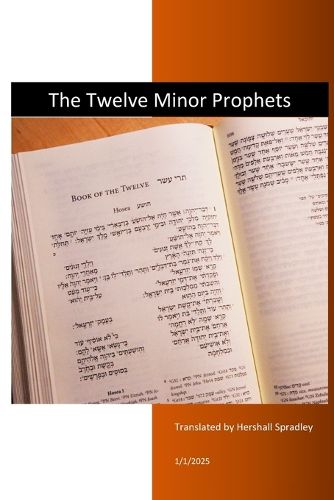 Cover image for The Twelve Minor Prophets