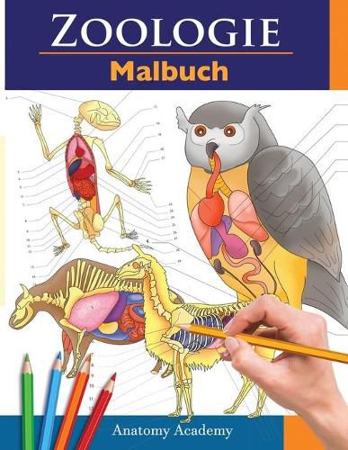 Cover image for Zoologie Malbuch: Unglaublich detailliertes Arbeitsbuch uber Tieranatomie im Selbstversuch Perfektes Geschenk fur Tiermedizinstudenten und Tierliebhaber