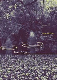 Cover image for Dirt Angels