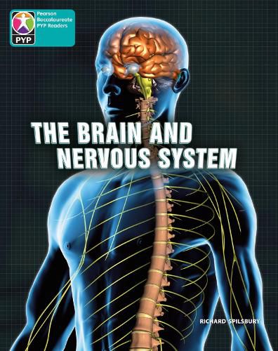 Cover image for PYP L10 Brain and nervous system 6PK