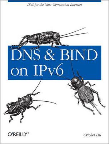 Cover image for DNS and BIND on IPv6