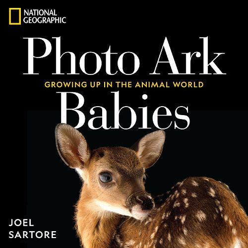 Cover image for National Geographic Photo Ark Babies