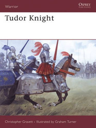 Cover image for Tudor Knight