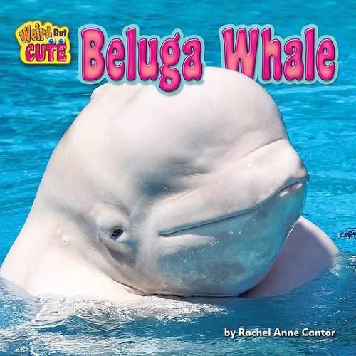 Cover image for Beluga Whale