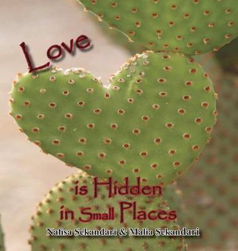 Cover image for Love Is Hidden in Small Places