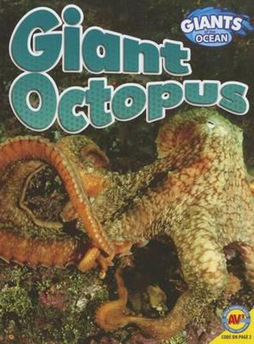 Cover image for Giant Octopus