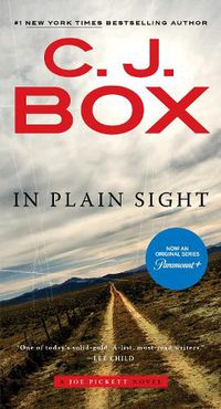 Cover image for In Plain Sight