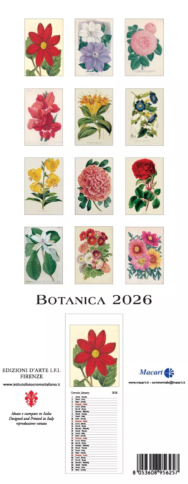 2026 Botanica Slim Art Calendar 13.5x34cm (CV2614)