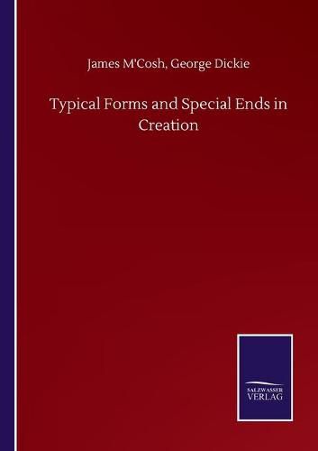 Cover image for Typical Forms and Special Ends in Creation