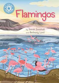 Cover image for Reading Champion: Flamingos: Independent Reading Non-Fiction Blue 4