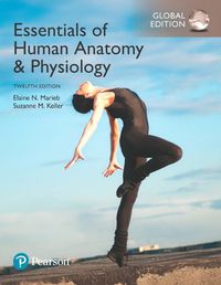 Cover image for Essentials of Human Anatomy & Physiology, Global Edition