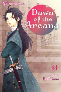 Cover image for Dawn of the Arcana, Vol. 11