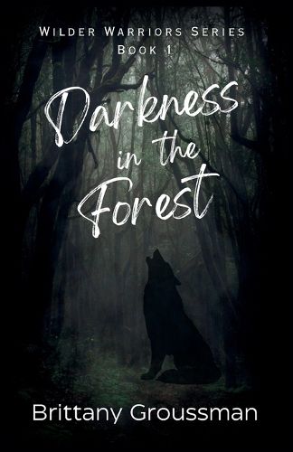 Cover image for Darkness in the Forest