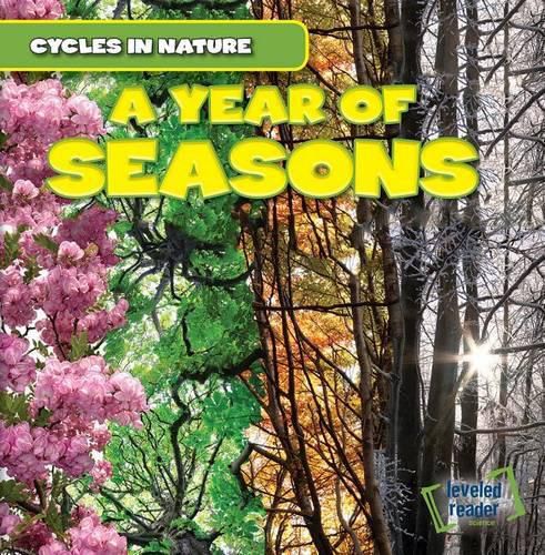 Cover image for A Year of Seasons