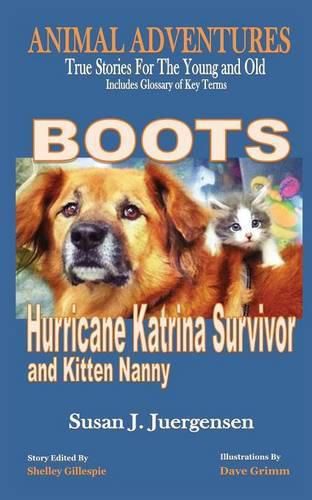 Cover image for Boots: Hurricane Katrina Survivor and Kitten Nanny