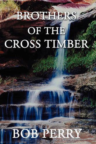 Cover image for Brothers of the Cross Timber