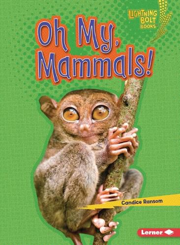 Cover image for Oh My, Mammals!