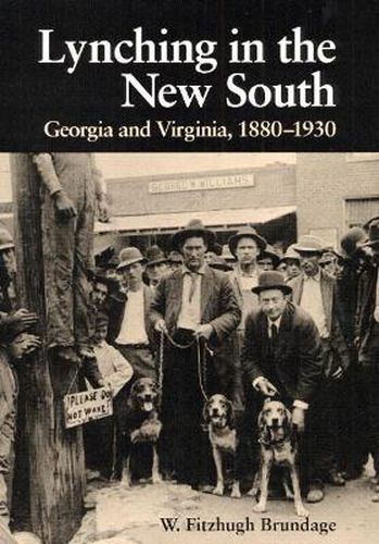 Cover image for Lynching in the New South: Georgia and Virginia, 1880-1930