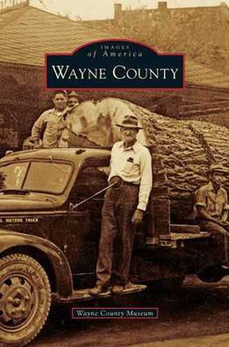 Cover image for Wayne County