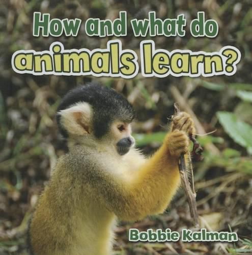 Cover image for How and What Do Animals Learn?