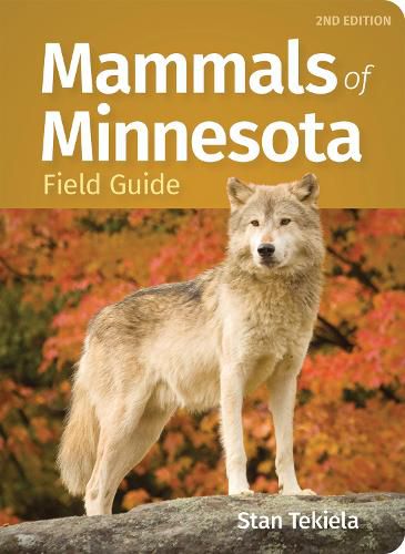 Cover image for Mammals of Minnesota Field Guide