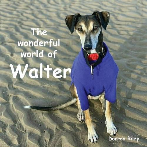 Cover image for The wonderful world of Walter