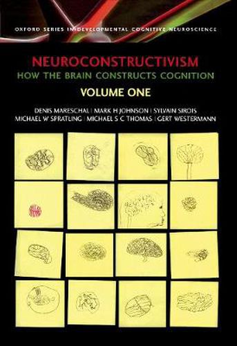 Neuroconstructivism