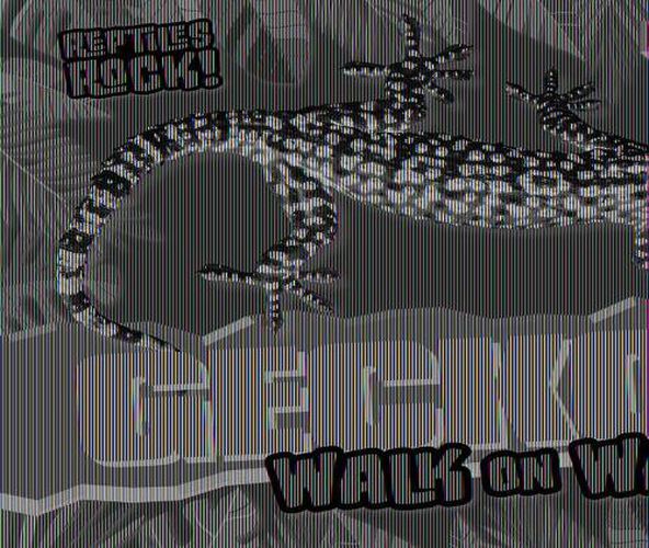 Cover image for Geckos Walk on Walls!