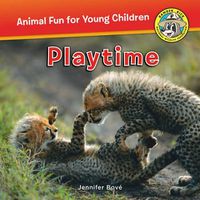 Cover image for Playtime