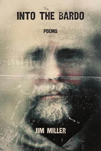 Cover image for Into the Bardo