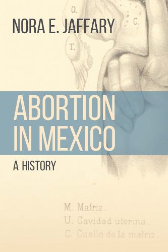 Cover image for Abortion in Mexico