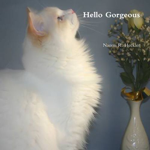 Cover image for Hello Gorgeous