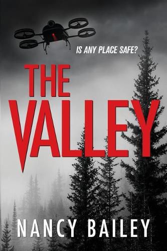 Cover image for The Valley