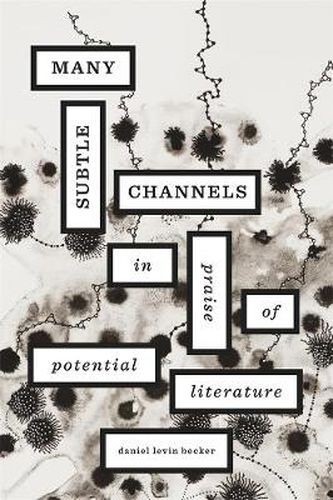 Cover image for Many Subtle Channels: In Praise of Potential Literature