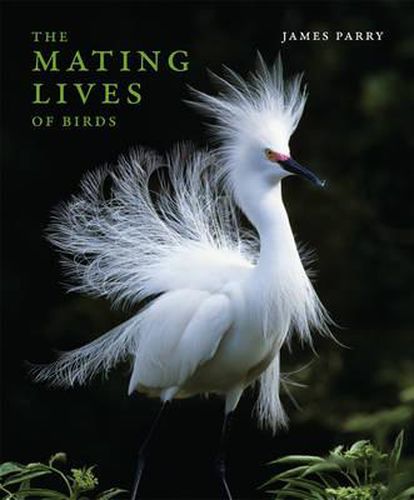 The Mating Lives of Birds