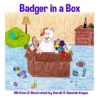 Cover image for Badger in a Box