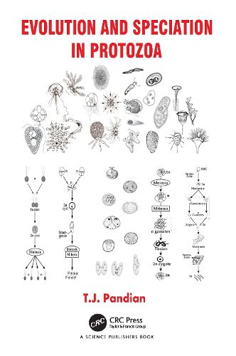 Cover image for Evolution and Speciation in Protozoa