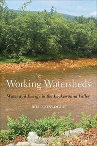 Cover image for Working Watersheds