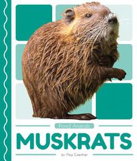 Cover image for Pond Animals: Muskrats