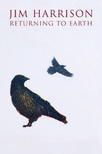 Cover image for Returning to Earth: A Novel