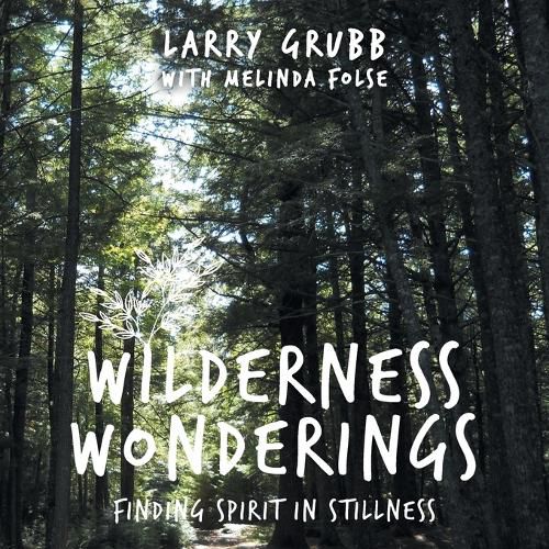 Cover image for Wilderness Wonderings