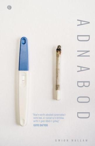 Cover image for Adnabod