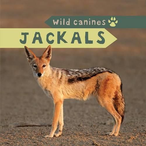 Cover image for Jackals