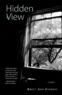 Cover image for Hidden View