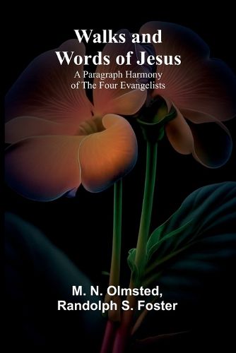 Cover image for Walks and Words of Jesus