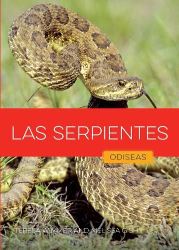 Cover image for Las Serpientes