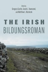 Cover image for The Irish Bildungsroman