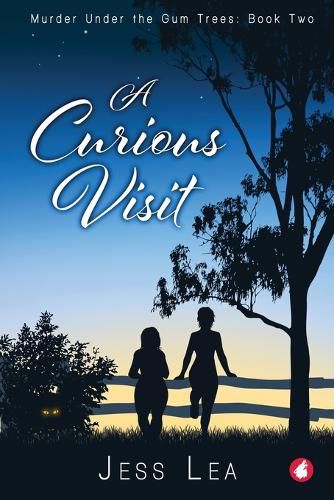 Cover image for A Curious Visit