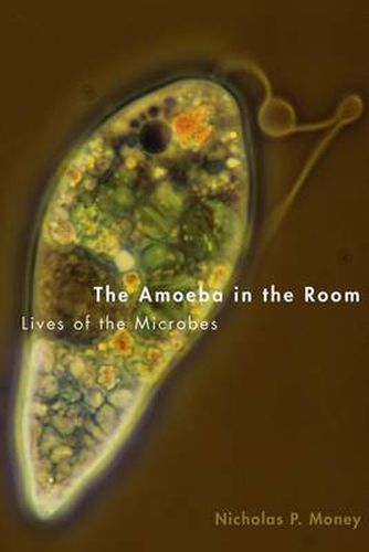 Cover image for The Amoeba in the Room: Lives of the Microbes